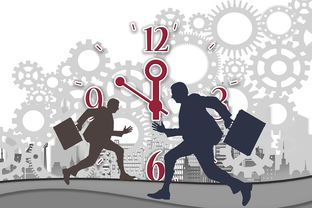 开云·体育官方网站入口-中国篮球职业联赛赛事组织与风险管理研究,中国篮球协会竞赛管理办法