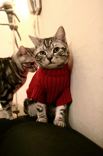 开云真人体育娱乐-俱乐部缺乏应对突发成绩波动的公共关系能力,俱乐部案例分析 开云真人体育娱乐-俱乐部缺乏应对突发成绩波动的公共关系能力,俱乐部案例分析