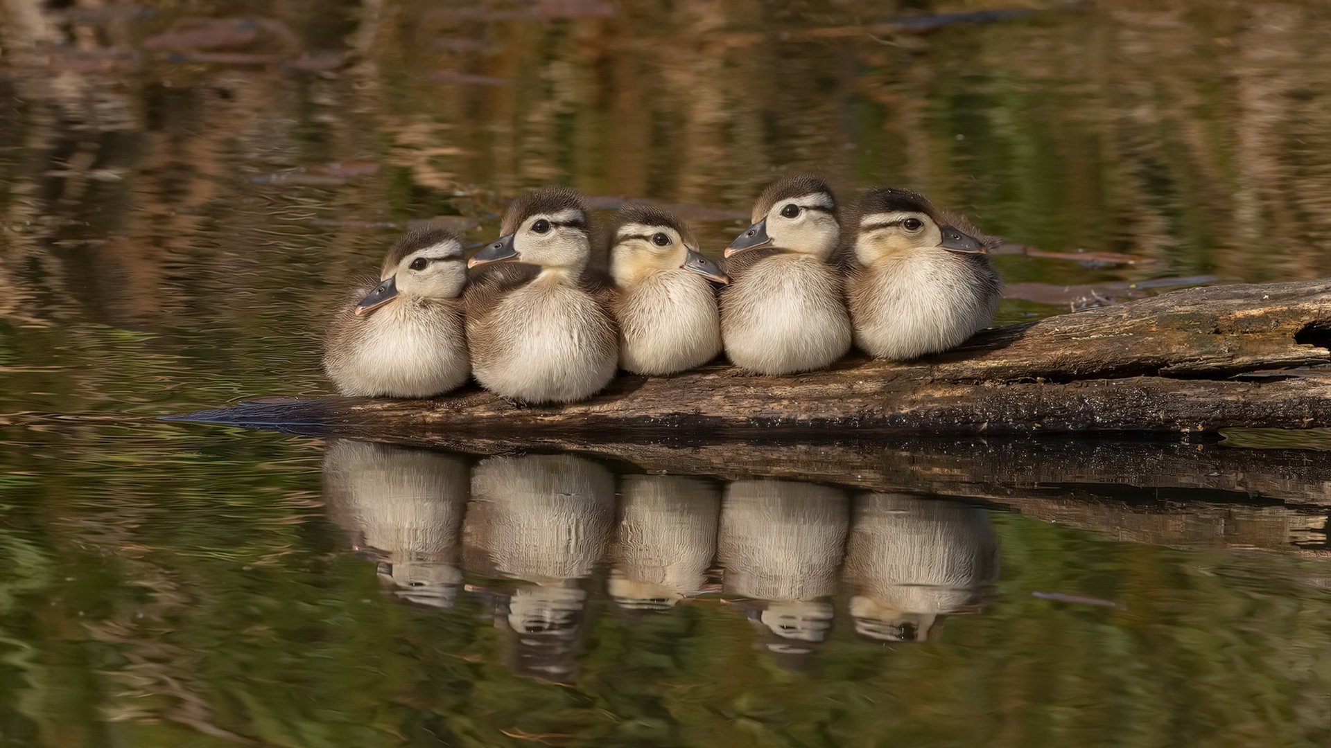 开云官网首页-外教文化融入难影响团队凝聚力，外教团队对训练的要求很高