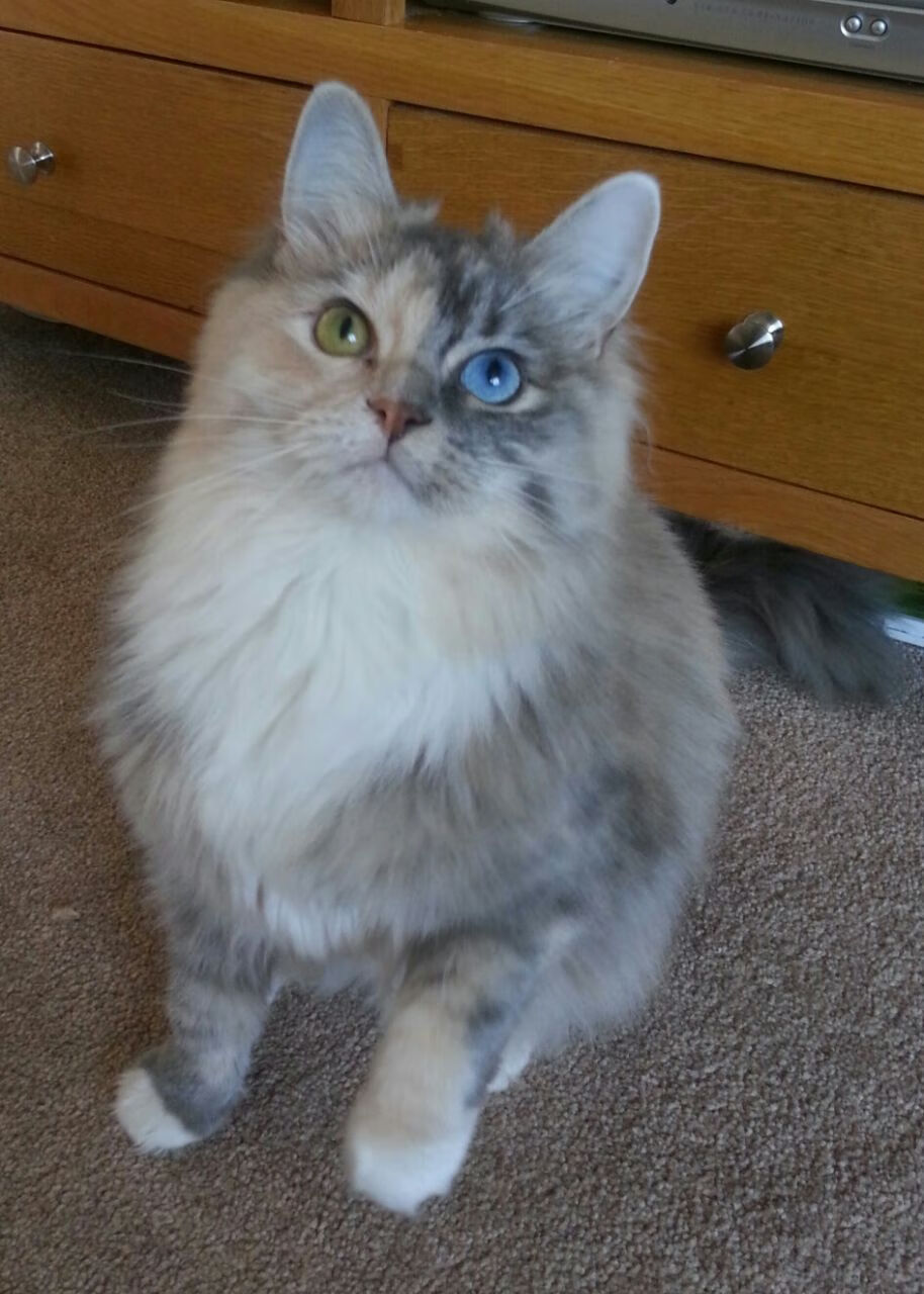 开云中国大陆-2026世界杯:全新场馆设计融合绿色环保与高科技元素,世界杯预选赛 场馆