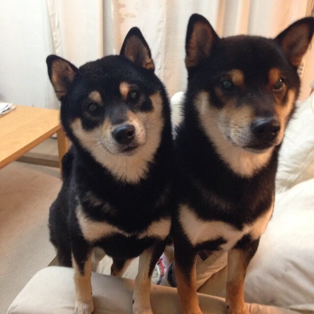 开云中国官网-国际足球界关注：新兴足球联赛崛起引发行业震动，足球新势力