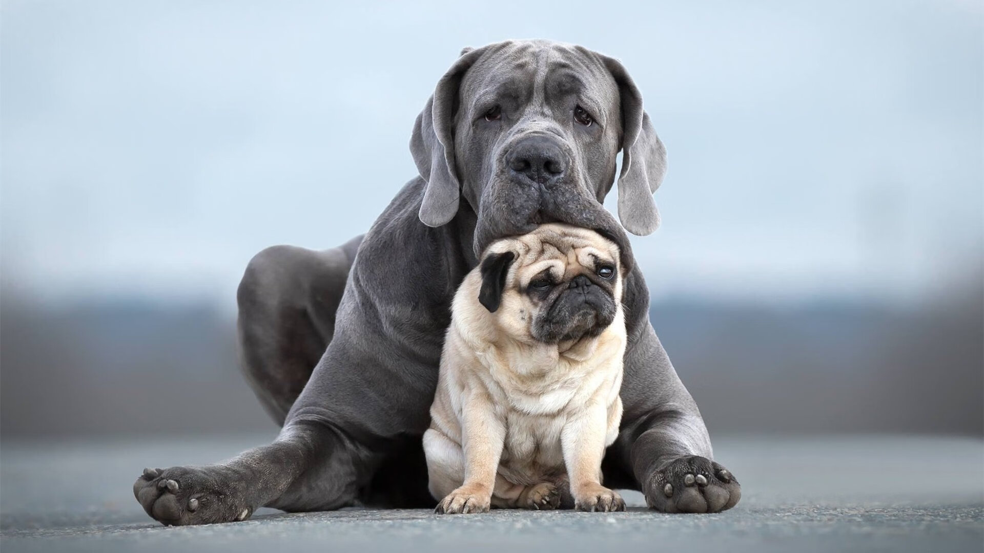 开yun体育-希腊男队蛙泳项目再创佳绩,希腊选手赛后泪奔